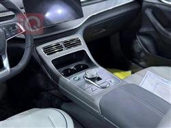 بی وای دی دیسترۆیەر 05